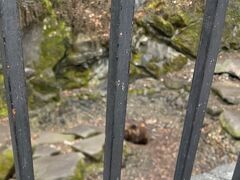 チェスキークルムロフ城