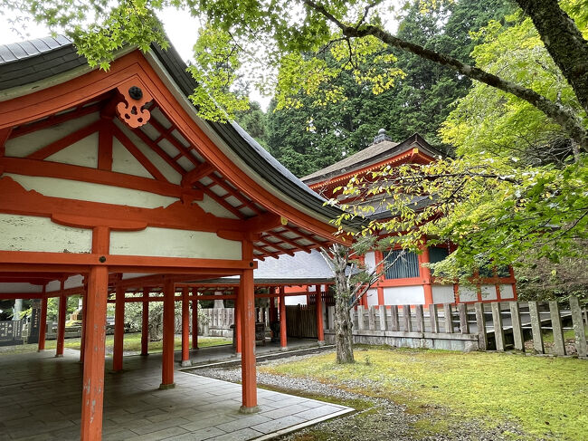 高野山奥の院②（和歌山県高野町） | おでかけ日和