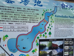 旧軽銀座から歩いて10分程度で到着する雲場池です。
「スワンレイク」とも呼ばれ、湖面に映る景色がとても美しい池です。