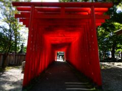 深川神社の隣には稲荷神社も祀られていました。