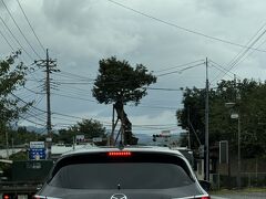原町の大ケヤキ