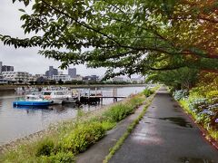 釣り船の波止場にもなっている。
早朝に散歩していると、それらが出航していくのを見ることができる。
近辺には船宿も多く見られ、それらが運営している海釣りツアーだろう。
息子が手を振ると、乗船している何人かが振り返してくれる。