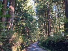 日光街道の杉並木