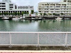 もう少し南側に汐浜運河があります。
対岸の汐浜地区は、江戸時代に塩田が造られ、製塩が行われていたことに由来します。