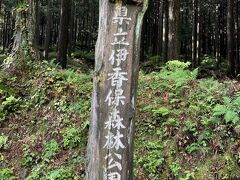 ［伊香保森林公園］

道路際の駐車スペースにクルマを突っ込み　歩く
