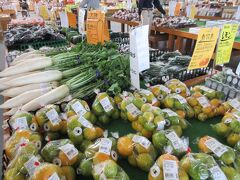 せっかく七城町まで来たので、メロンドームへ。