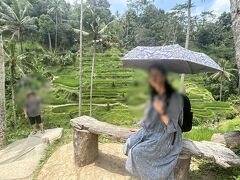 途中、棚田（ライステラス）に寄ります。たくさんの棚田が観光地化されているようです。10年前に来たときはせいぜいカフェがあって棚田を眺めながらのんびりできるという程度だった気がするのですが、今はいろいろ施設が付け加わって大規模になっているようです。
入場料を払って中に入ります。