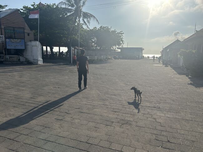 昨晩少々飲みすぎて身体が重い朝です。<br />でもチェックアウトまで時間もあるので、ヌサドゥアの先端までジョギングに出掛けます。<br />朝日の眩しいタンジュンベノアビーチまで来たら、暇そうにしていた犬が私達の後をトコトコ付いてきます。