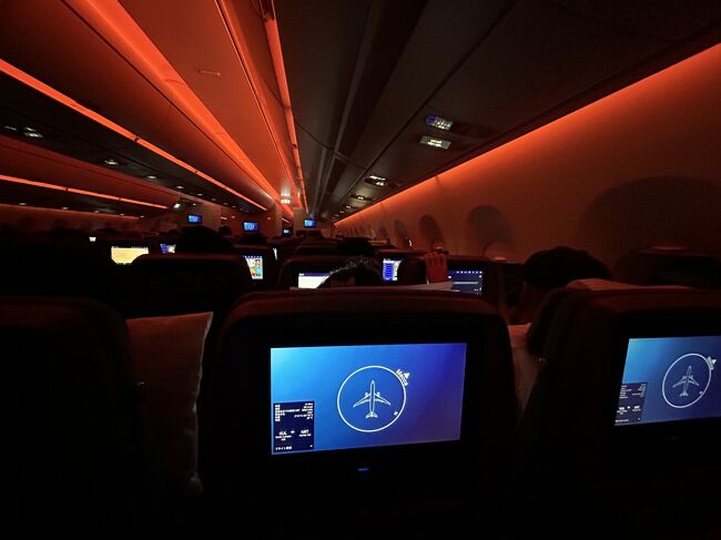 結局クアラルンプールのサテライトには約20分遅延で到着しました。何とか間に合うか…と思っていたら降機客の手間が異常に掛かります。何故かは分かりませんが通路をブロックして荷物をモタモタ降ろしている人が目立ちます。まあ、これは私の気が急いているからでしょう。<br />これはダメかなあと思いつつ必死の思いでゲートまで出ると、グランドスタッフが「ナリタ、ナリタ」と連呼しています。成田行きのゲートは徒歩数分で幸い乗り継ぐことができましたが、ひょっとしたら乗り継ぎが厳しいので近いゲートにしているのかもしれません。<br />もし成田行きがサテライトではなく本館のゲートからの出発でしたら多分アウトでしたが無事予定通り帰国できました。<br /><br />今回の旅はこれでおしまい。昨年末以来、海外旅行が頻繁に過ぎるようでお金持ちでもなければ旅系ユーチューバーでもない私たちにはハイペースなので次回の海外はちょっと間隔を開けることになりそうです。<br />ということで、次回は国内旅行の記録を書きたいと思いますので、またお読みいただければ幸いです。