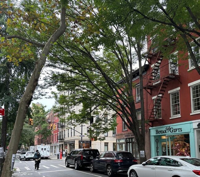 ■グリニッジヴィレッジエリアの雰囲気<br />グリニッジヴィレッジは街路樹と建物がマッチして良い雰囲気の道が多いですね。<br />写真はBleecker Stで、水色のお店がボイヤーギフツ。<br />ワシントンスクエアパークからは、写真奥側から手前側に進んでくる動線。<br />ボイヤーギフツは雑貨が様々ありましたけど、ニューヨークお土産にどうしてもっていう程のものが見当たらず、残念ながら収穫無し。