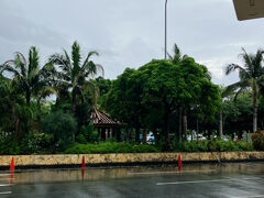 タクシーで空港へ。帰る日は雨。でもこれもすぐ止んだのかな。
ありがとう、宮古島。また来年。