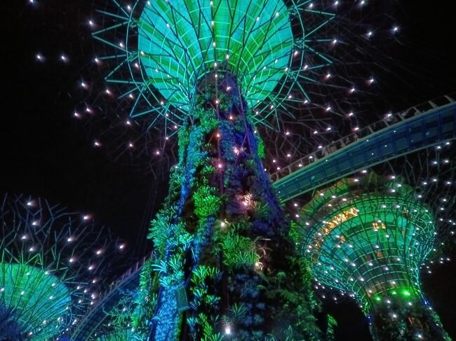 2024年10月シンガポール家族旅行③バクテー、国立博物館、TWG