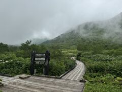 栂池自然園は曇り模様。