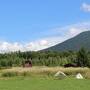 北海道*道央の旅３【ファーム富田・青い池・ケンとメリーの木・ニューオータニイン札幌・トレジャー】