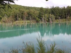 午後２時頃、妹のリクエストで青い池へ
以前は無料だった駐車場が数年前から、500円徴収されるようになっていました(^^;)
