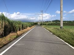 シュガーロード
朝ドラ「ちゅらさん」で有名な道ですね。
ちゅらさんも今週で見納め。寂しい感じがします。
さとうきび畑の中の一本道ですが、当時とは道幅や木や畑の様子が変わっています。