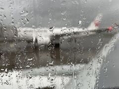 ●2024/10/09(水)

朝一番の直行便（6:45発 JAL971）で石垣島へ向かいます

家を出たときは小雨がパラついていたけど羽田発の時間には大雨になっていました
移動している時間に大雨に振られなくて良かったー！