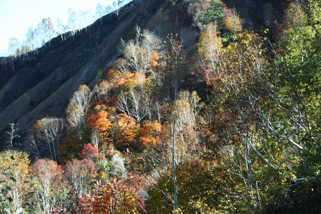 色づき始めた紅葉を愛でながら～～