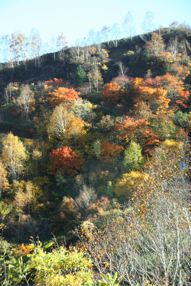 この辺りが紅葉真っ盛りかな、、