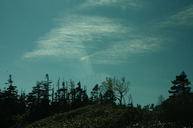 秋雲が爽やか～～～