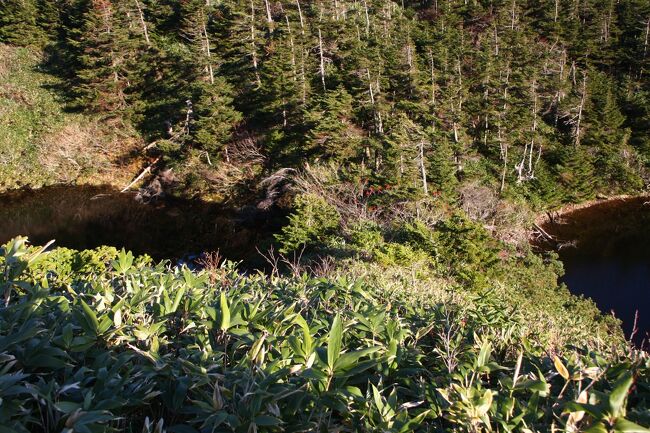 沼が左右に・・「メガネ沼」