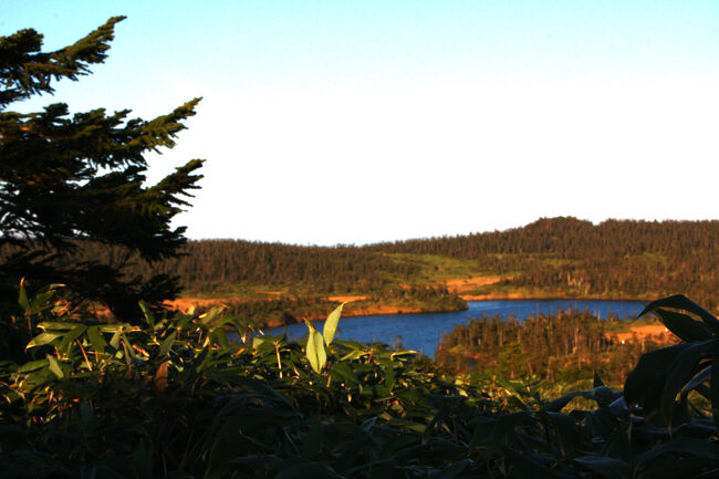 「八幡沼」の絶望~~