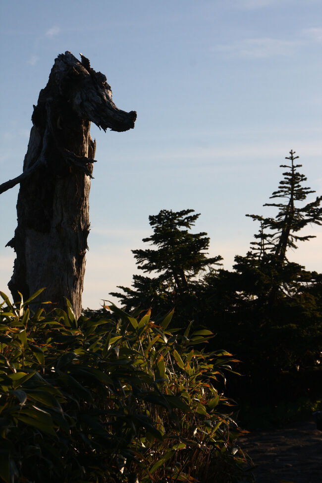 何かを想像させる（　＾ω＾）・・・