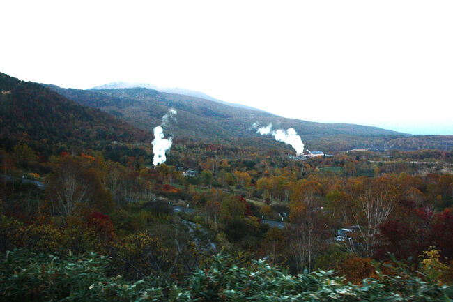温泉の湯けむりが~~~^^^