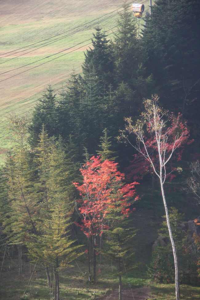 ～～メルヘン～～