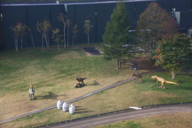 ホテル部屋より