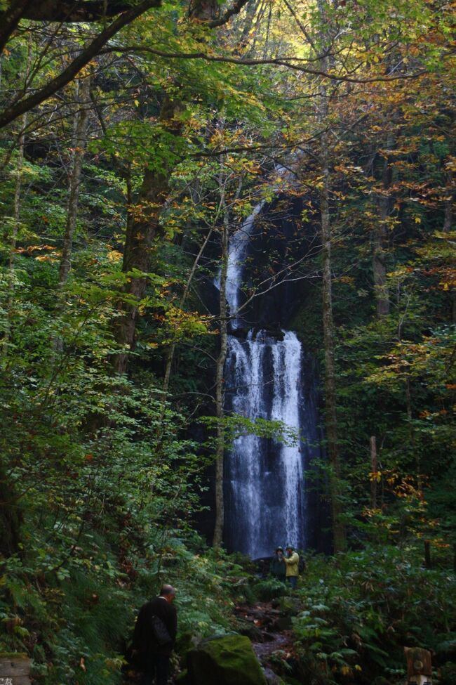 二日目の目玉、、“奥入瀬渓流”　全長約14㎞の内　2,8km90分　ハイキングコース・・・”雲井の滝”～～“石ヶ戸”を歩く～～
