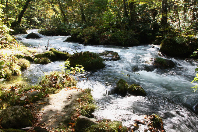 渓流の表現が難しいで～～す?
