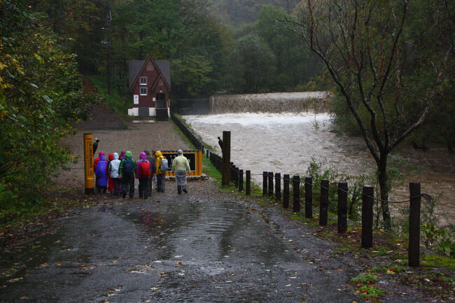 三日目「白神山地」　あいにくの風雨（　＾ω＾）・・・