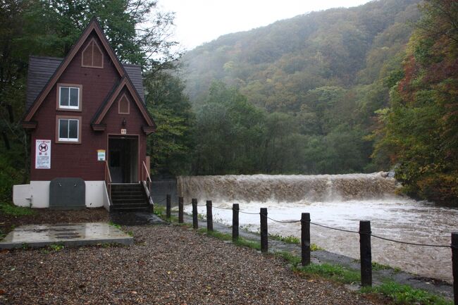 茶褐色に濁った、、濁流が～～～
