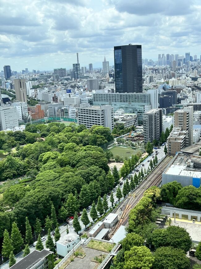 かつて長い間住んだ文京区<br />シビックセンターからの景色好きだ。