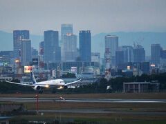 5分おきに飛行機がやって来るけど、
ちっさいのばかり､､､。