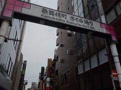 会合がおわったので、久しぶりに歌舞伎町へあしをのばしました。