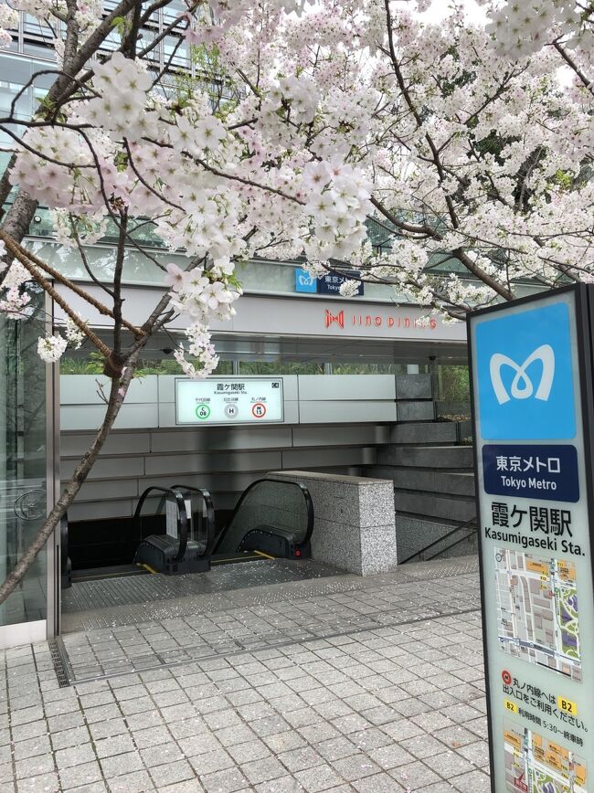 西幸門近くの桜　ここの桜とても美しい。お気に入りだ。