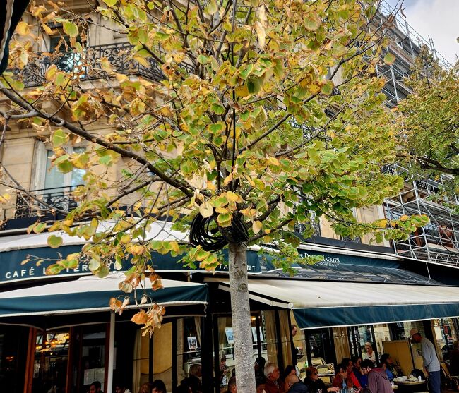 15:57　『CAFÉ レ・ドゥ・マゴ』に並んでパリジェンヌの仲間入りをしました。(笑)