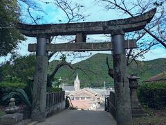 【崎津諏訪神社】
崎津集落は、禁教下での潜伏キリシタンの信仰継続を示し、仏教・神道・キリスト教が共存しながら信仰をはぐくんだ集落。
崎津教会を一望できる鳥居から撮影。


