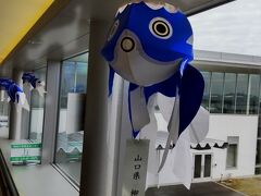 こんなかわいい金魚がお出迎えしてくださいました。