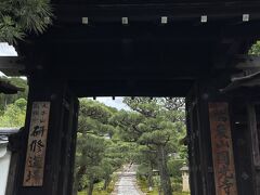 またまたチケットでやって来たのは