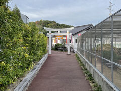 白蛇観覧施設