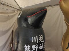 ヤタガラス　撮影スポット