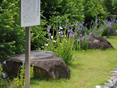 　境内にある「かえる石」。もともと河内の川べりにあり、殺生石として恐れられていたが、豊臣秀吉が気に入り大坂城内に移した。大坂夏の陣で自害した淀君らを埋めた場所に据えられたとされ、お堀端に移された後は石のそばから堀に身を投げる人が絶えない不吉な石とされた。戦後、行方が分からなかったが、昭和33年7月7日に元興寺に安置され、現代は「福かえる」「無事かえる」などの縁起石として信仰を集めている。