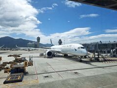 香港までお世話になった飛行機。

香港は機内食食べて、映画見て、ちょっとゆっくり
していればあっという間でした。

ありがとうございました！