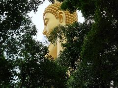 「は～い、まずはココから覗いてみて下さ～い」とガイドさん。
これぞ、ツアーの醍醐味ね。勉強不足でも、一気に入り込める　^^/