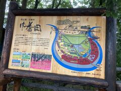 巾着田に。
基本、川沿いが群生地になるのですね。