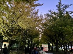 北海道大学
