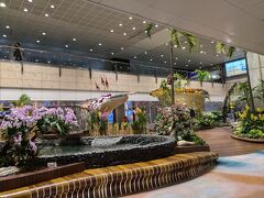 チャンギ空港に到着！
かなり大きな空港ですが乗り継ぎ時間がタイトなので何も見ずにゲートへ向います。JEWELという滝？を見たかったのですが、行きも帰りも見れませんでした(⁠T⁠T⁠)
出発ゲートはターミナルが違うのでスカイトレインで移動しました。